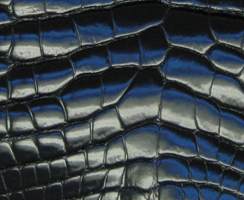 Glazed Black Alligator Skin